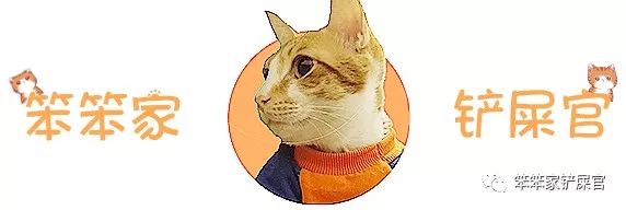 猫咪尿血怎么处理最好,猫咪尿血怎么治疗好得快