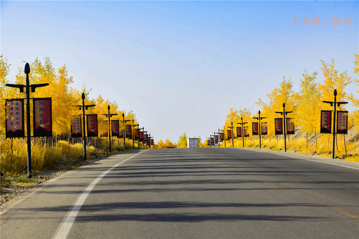 第一次去看胡杨的感触,第一次体验到沙漠乐趣