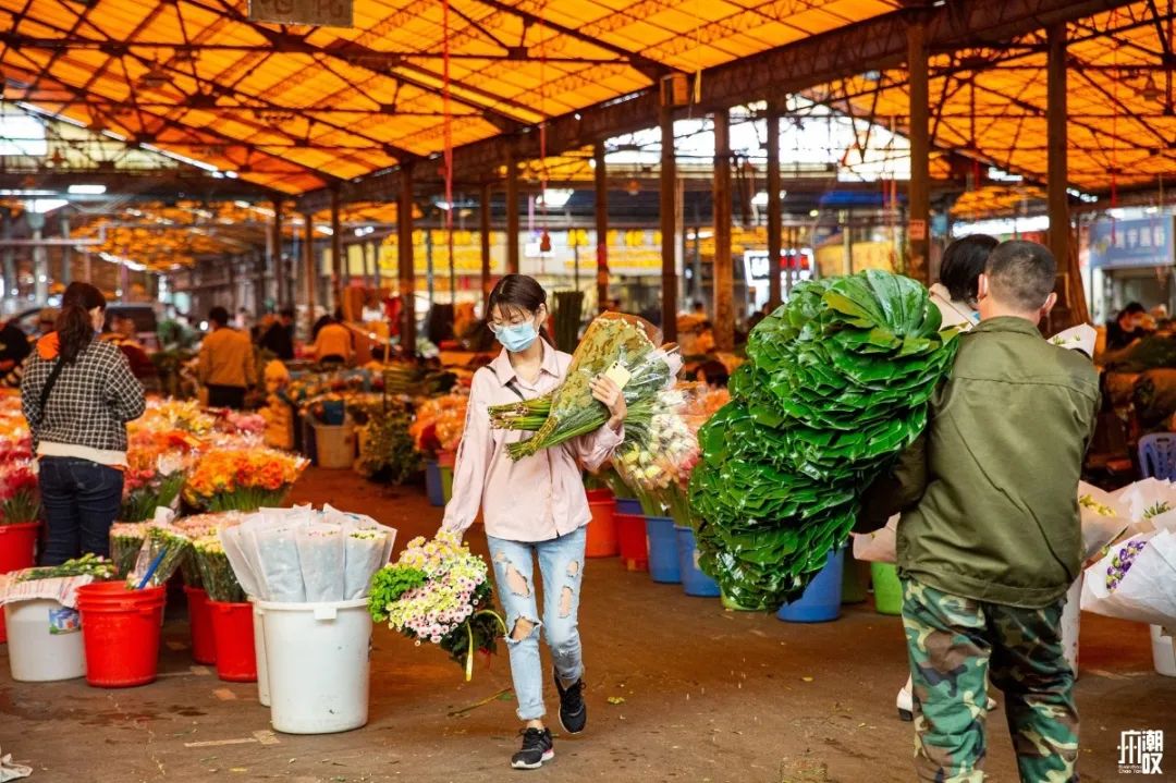 广州最便宜的花卉市场1块钱,广州岭南花卉市场买花攻略