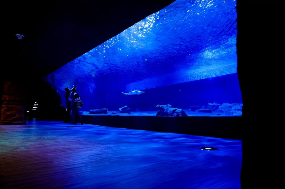 去不了海就去海洋馆,去不了大海就去海底世界