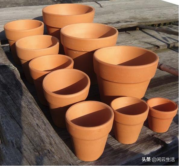 家居花盆如何选好看又实惠,家居种植花盆怎么选择