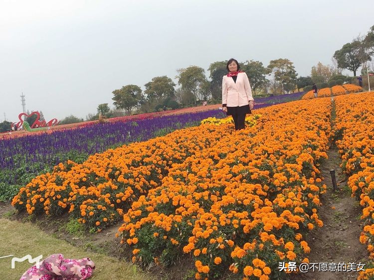 可爱的少妇自拍越来越丰满越来越成熟了