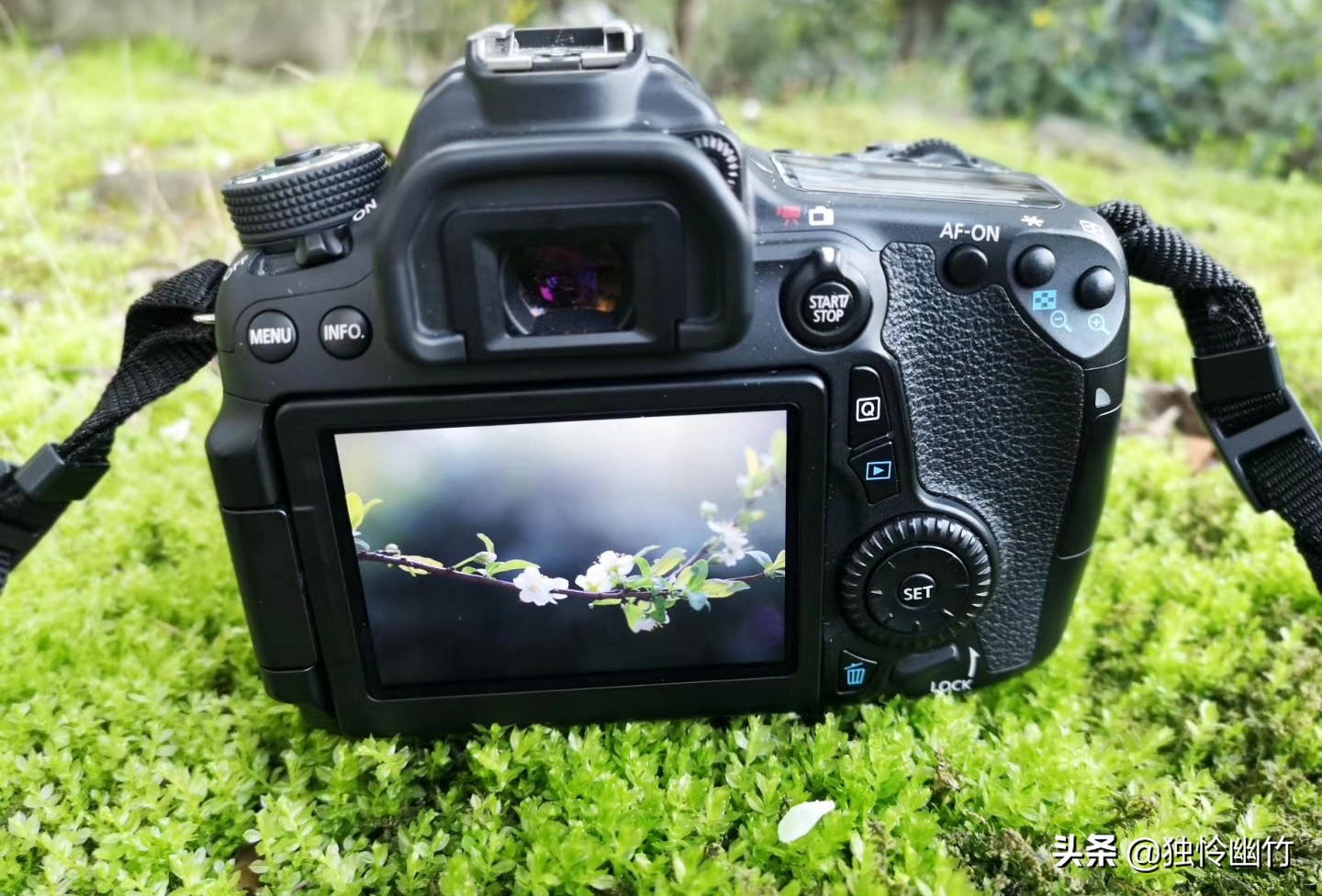 分享摄影爱好者的视频,分享摄影干货小知识