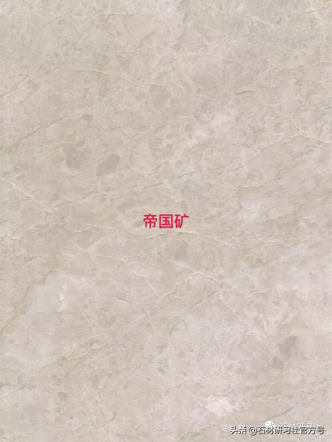 豪宅用的高级天然大理石,别墅铺什么颜色大理石档次最高