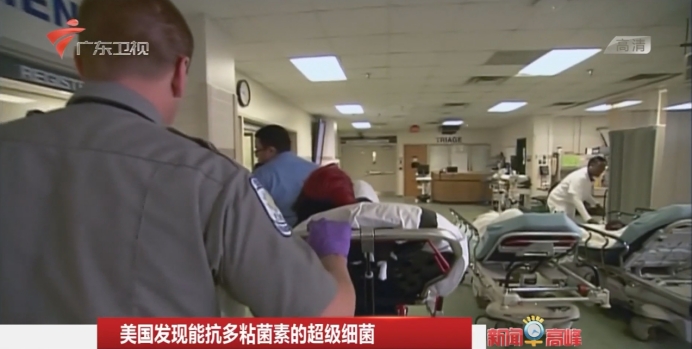 美国爆发真菌感染,美国出现罕见的真菌病了吗