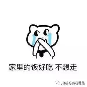 运动文胸怎么选,运动文胸怎么选才适合