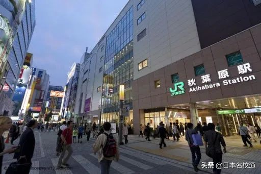 鲨鲨｜秋叶原｜女仆咖啡厅