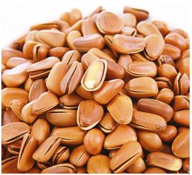 失眠安眠药吃了也没用,失眠睡不着吃安眠药有什么副作用