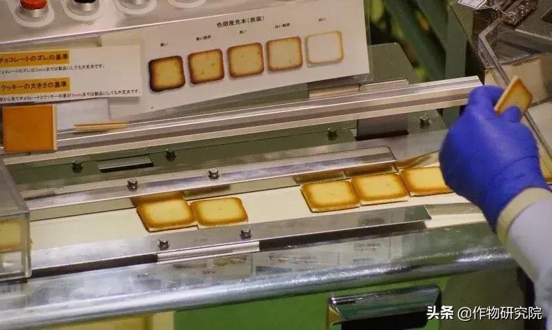 日式网红薄饼干,日本饼干伴手礼