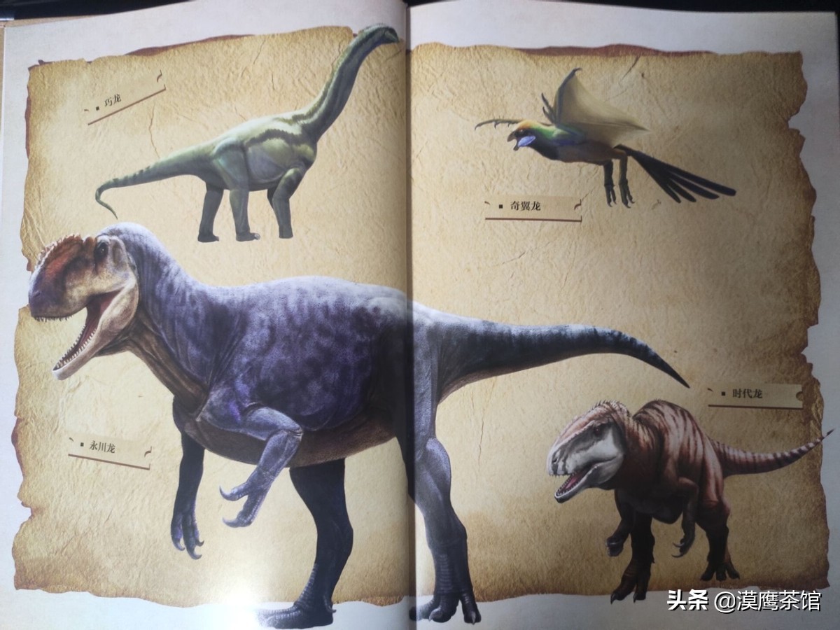 走进恐龙博物馆,恐龙博物馆大探秘