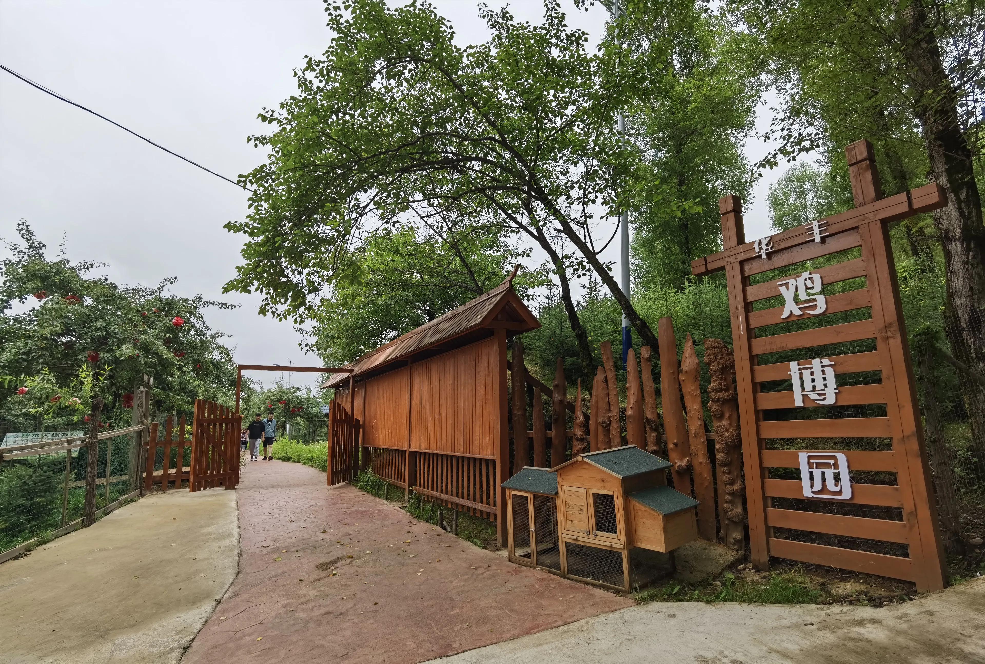 讲好家乡故事助力乡村振兴,讲好乡村振兴故事由哪个部门负责