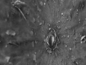 慢动作视频新手也能学,慢动作怎么拍最好玩