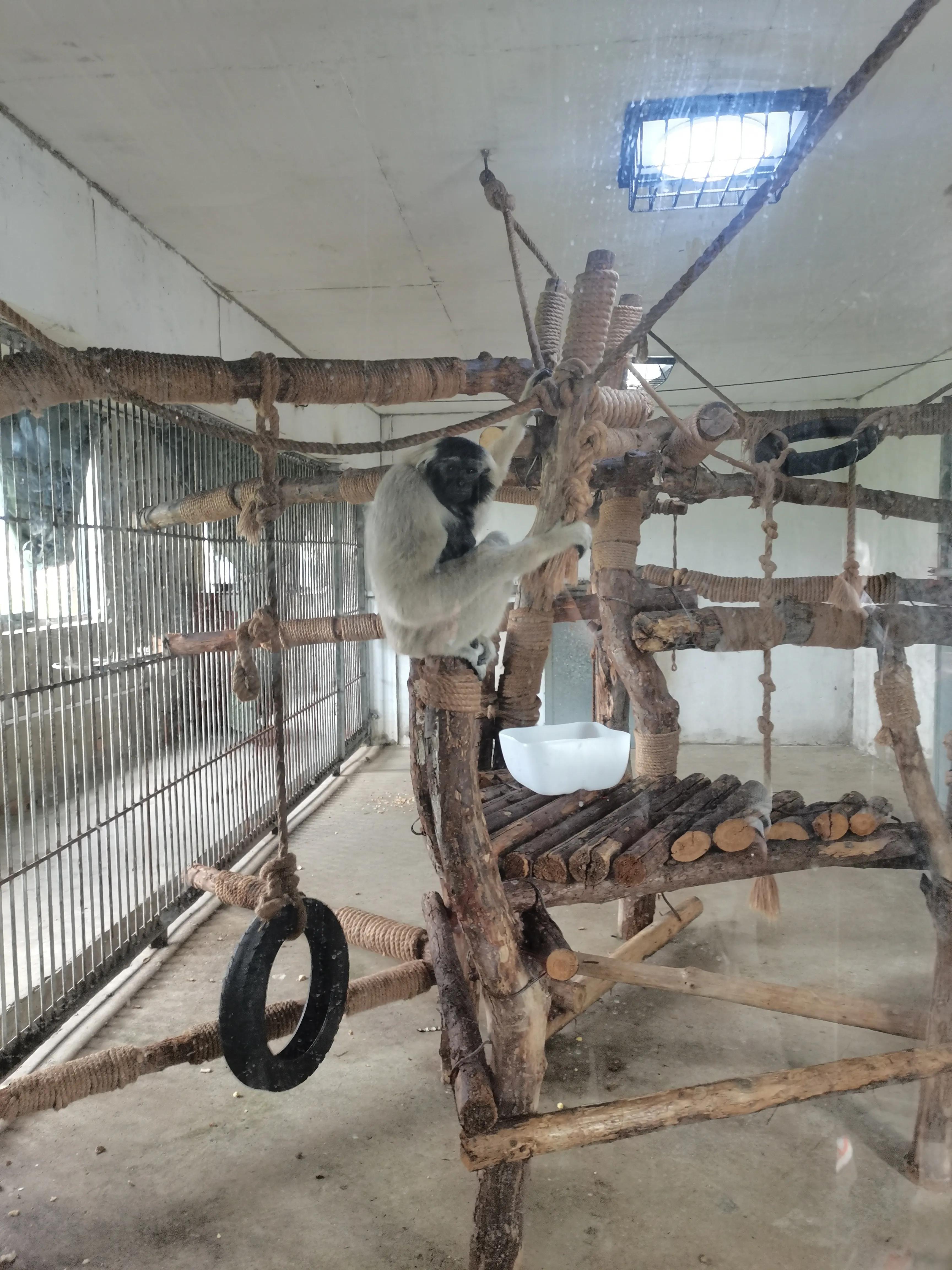 宿州火车站到宿州野生动物园,济南野生动物园和宿州野生动物园