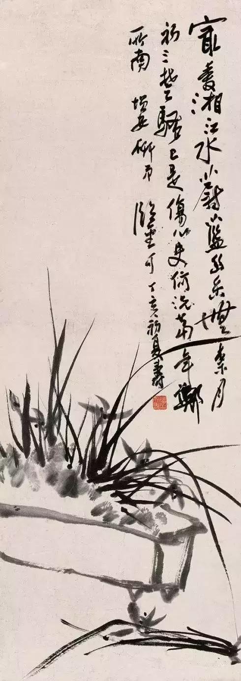 如何画兰花最好看的,君子兰花如何画