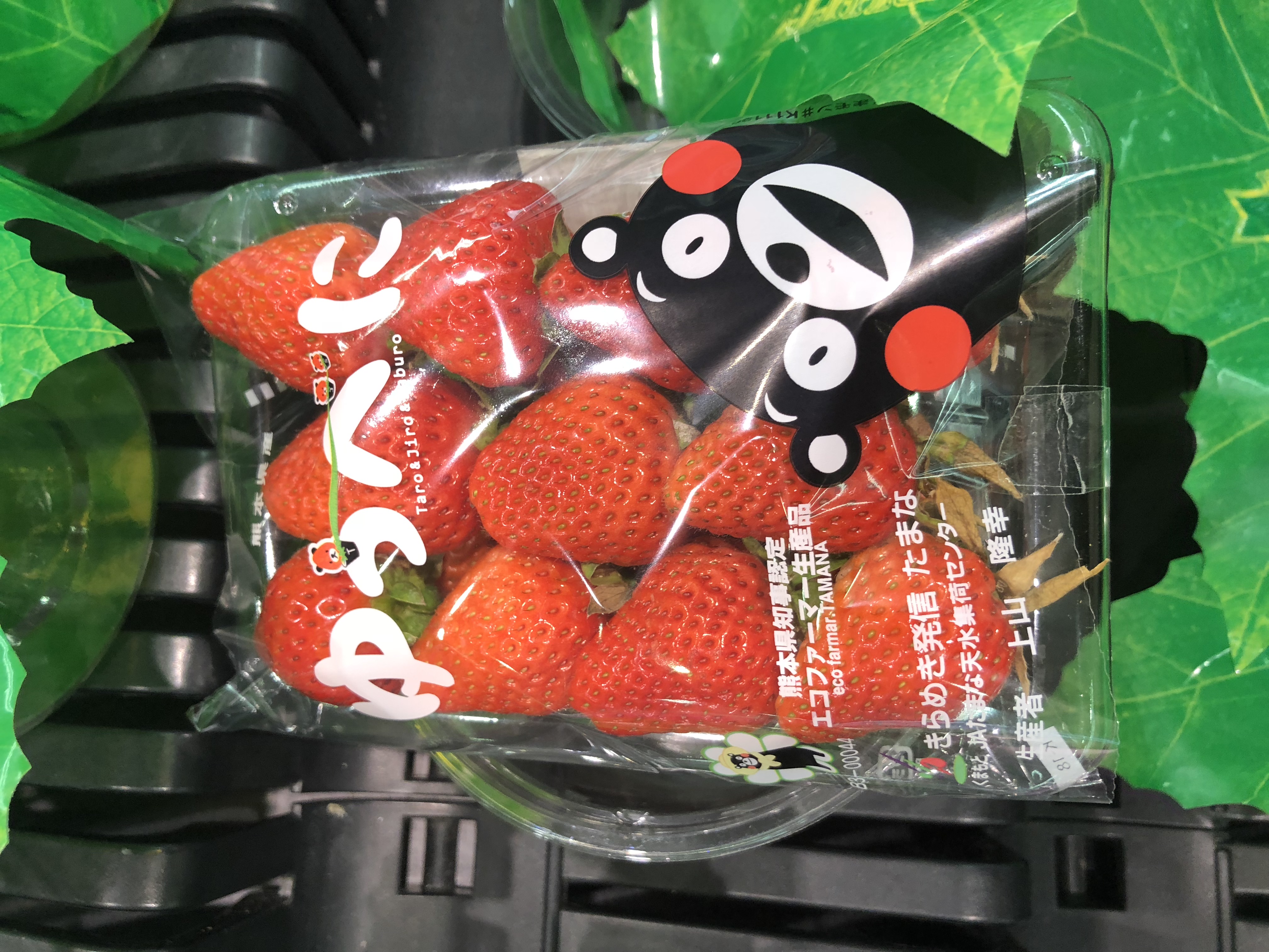 到日本必买的东西攻略,到日本必买的日本电器