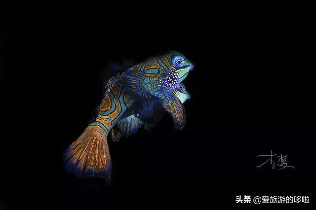 现在可以去哪些海岛旅游,现在去哪个海岛比较便宜