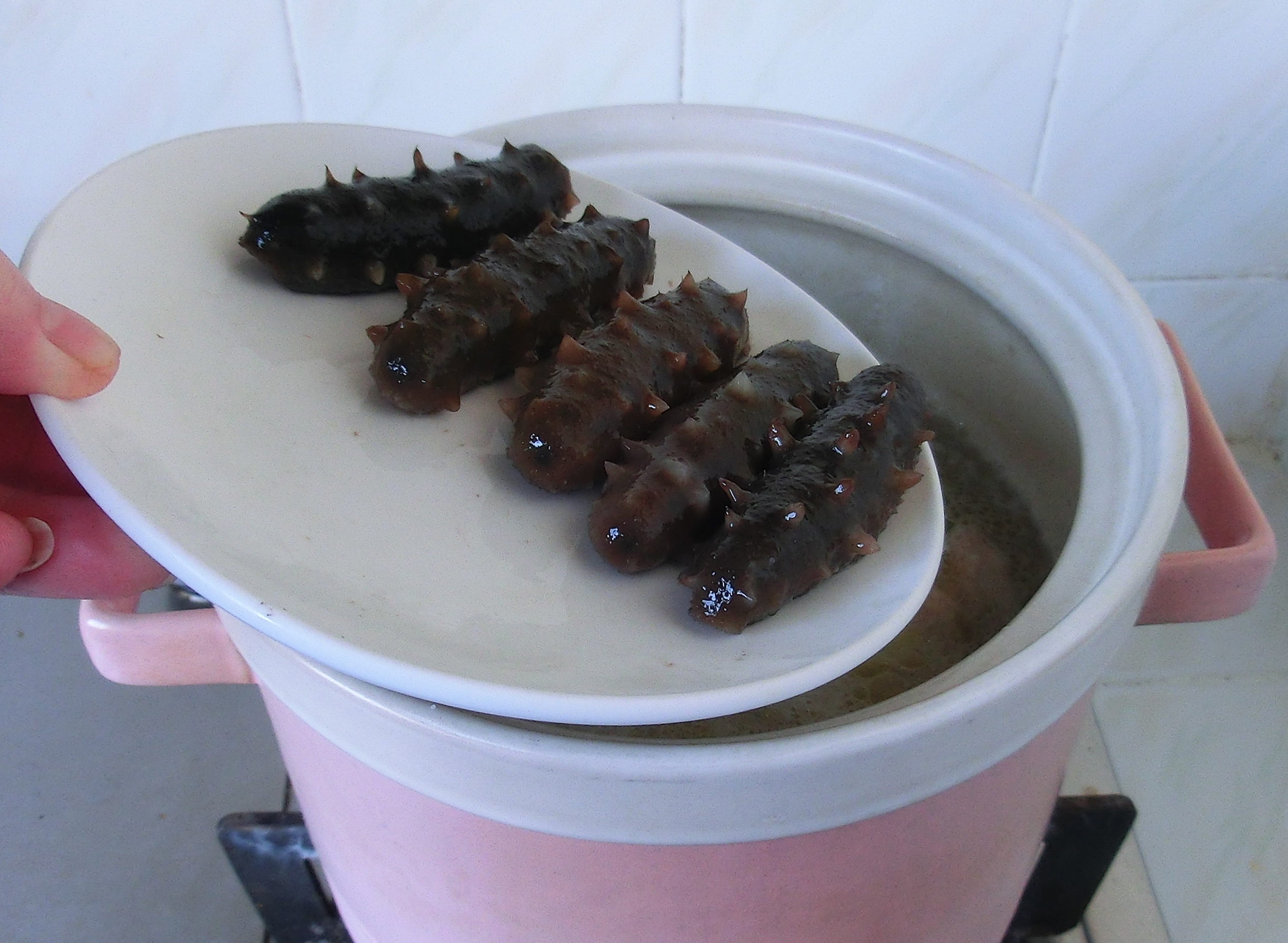 海参怎这么贵呢,海参的正确泡发方法和做法