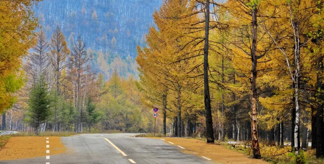 这些新疗法或将有效延长卵巢癌患者的生存期，带来新希望