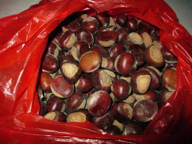 这才是糖炒栗子好吃的做法,水煮板栗最简单的家常做法