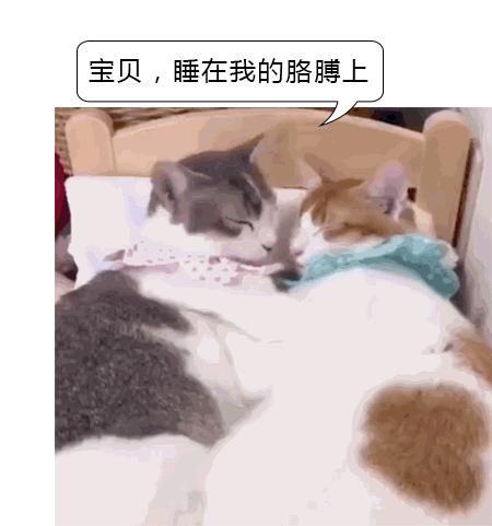 25个生活小窍门,25个日常生活小窍门