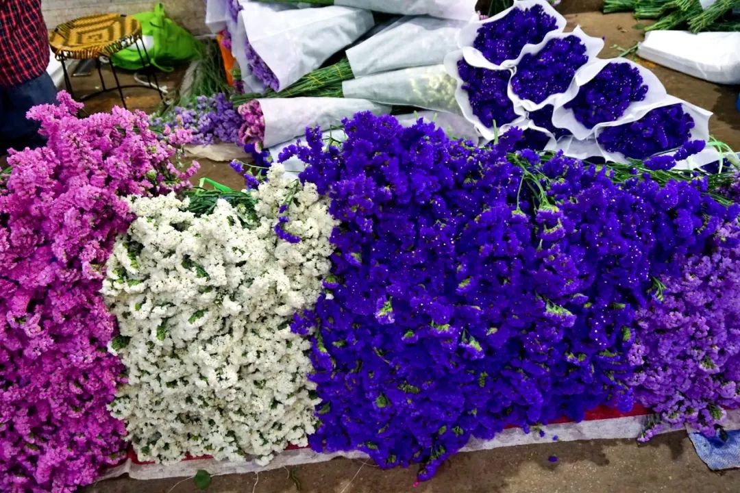 玫瑰花10支批发高原红,最好看的鲜花批发市场