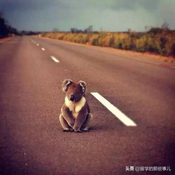 澳大利亚有哪些旅游胜地,澳大利亚有什么好玩的免费景点