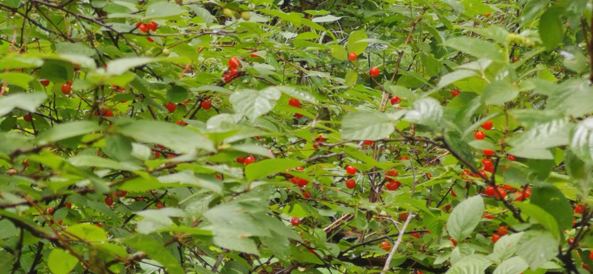 神奇的旅游城市,神奇的市区