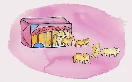 你对曲奇的疑惑全在这里了，这才是最好的伴手礼