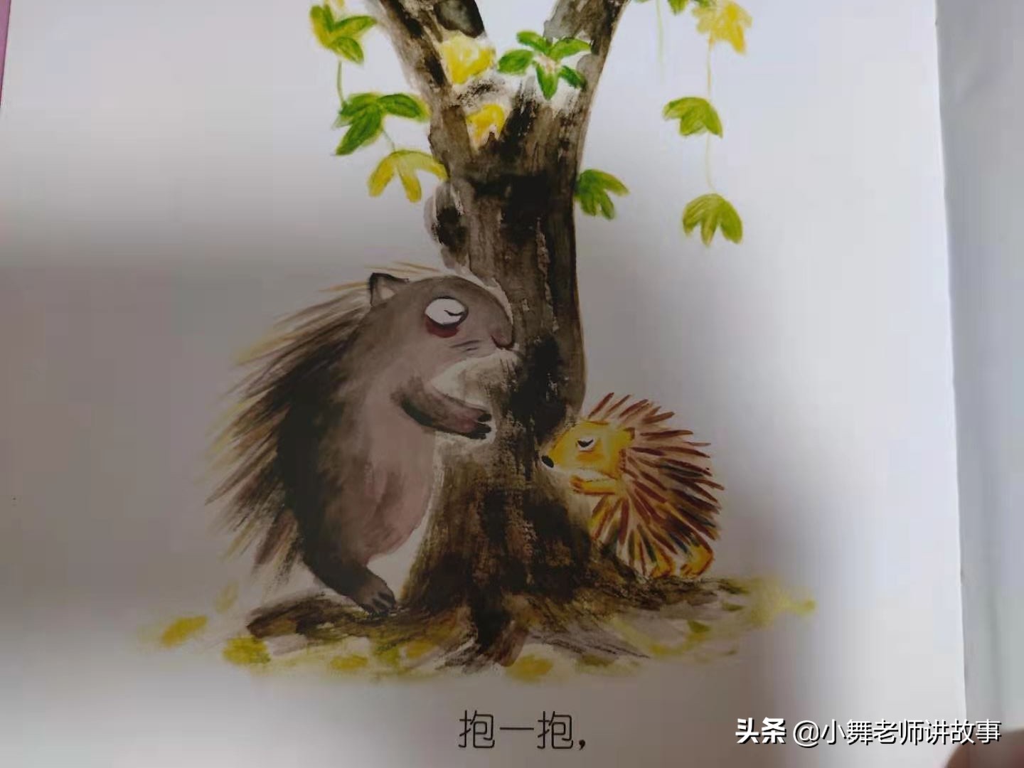 拥抱日绘本,适合和孩子一起拥抱的绘本