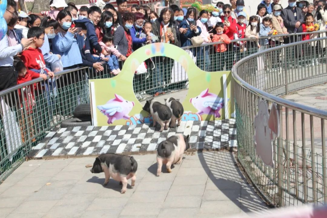 又被挤爆了！天津惊现3000000㎡度假胜地！内部实景全面曝光