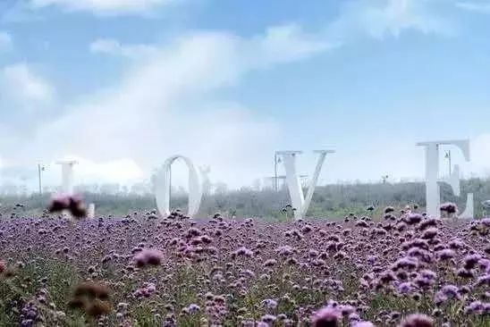 端午节郑州一日游,郑州端午旅游推荐2-3天游