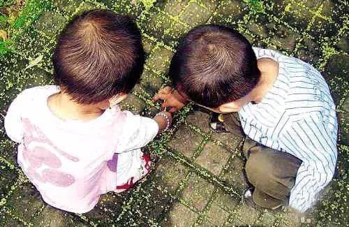 陪孩子玩的父母还需注意什么,一岁半孩子父母应该陪孩子怎么玩