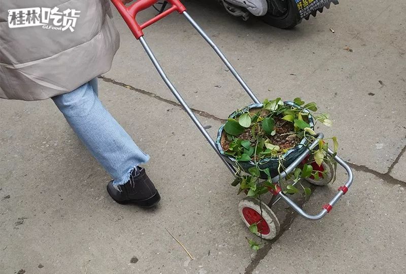 桂林市春节年货一条街,桂林有哪些年货市场