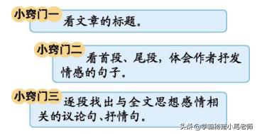 四年级下册语文学霸笔记重点知识,学霸秘籍四年级语文