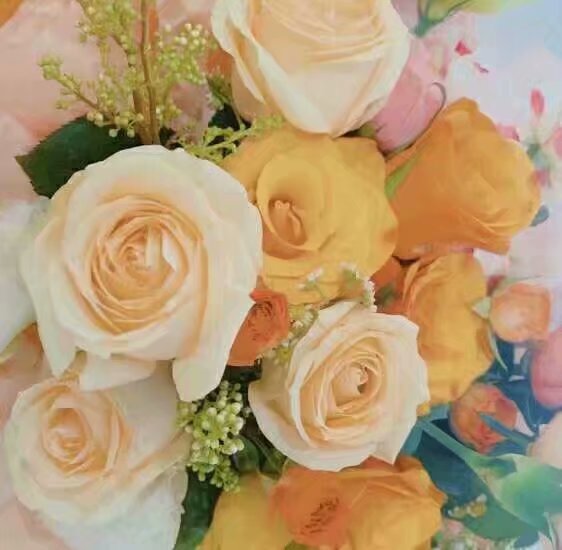 出师表诸葛亮完整版,出师表朗诵完整版