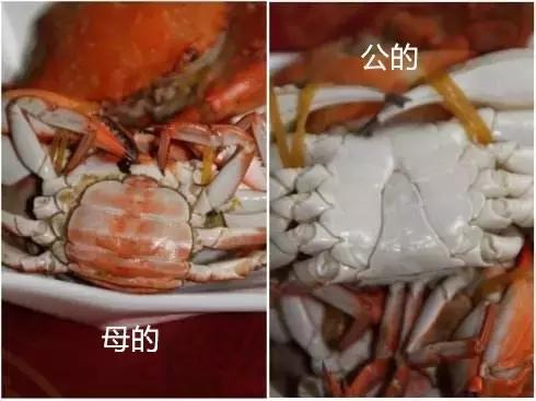 汕尾吃海鲜的正确方式,汕尾人吃海鲜