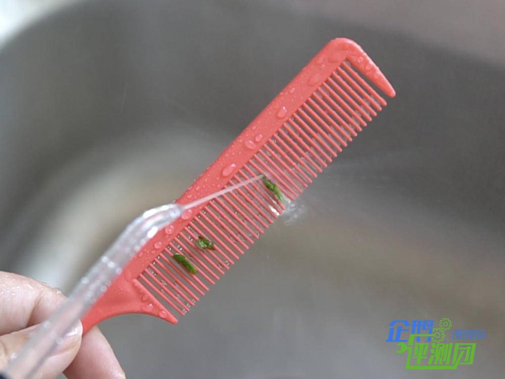 给牙齿投资十分必要，用过一段时间洁碧WP-462EC冲牙器后感触很深