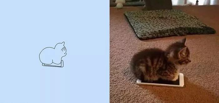 你和大触绘画的区别：一看就会一画就废，这波动物简笔画太形象了