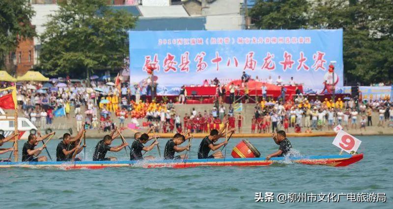 2023年融安龙舟公开赛选场,融安龙舟公开赛直播