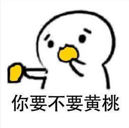 为了抵抗衰老，我一直在做这五件事