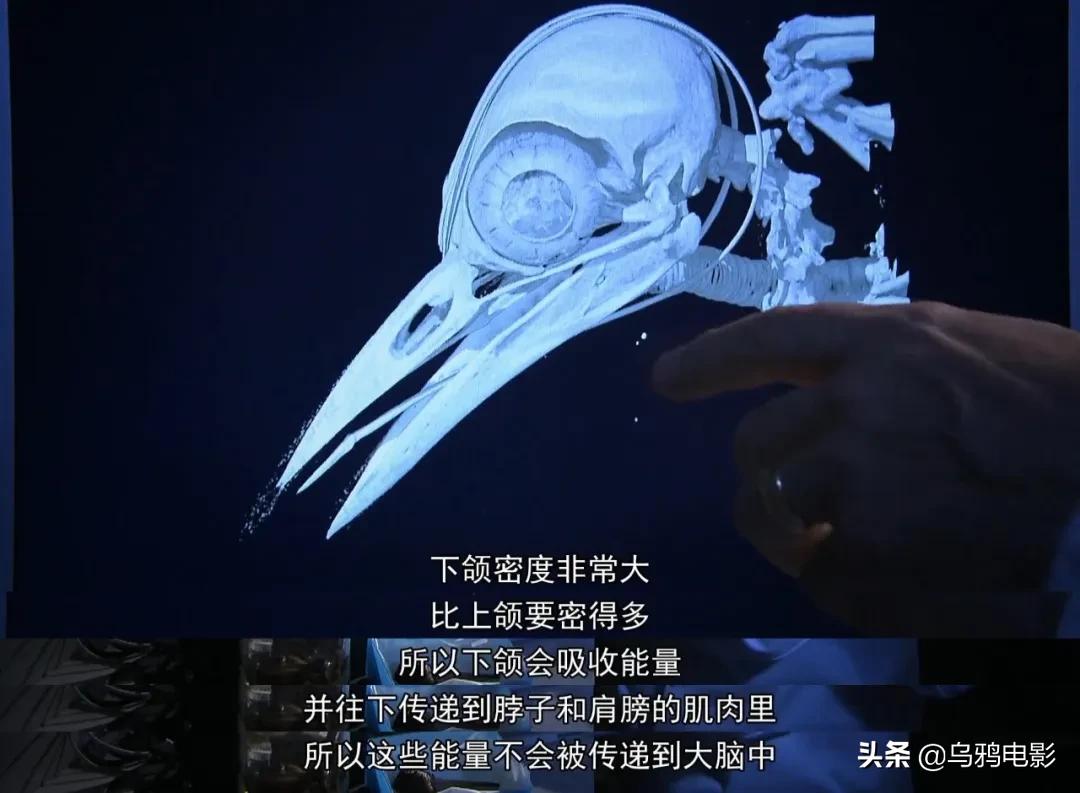 太硬核了全场高能视频,太硬核了全场高能