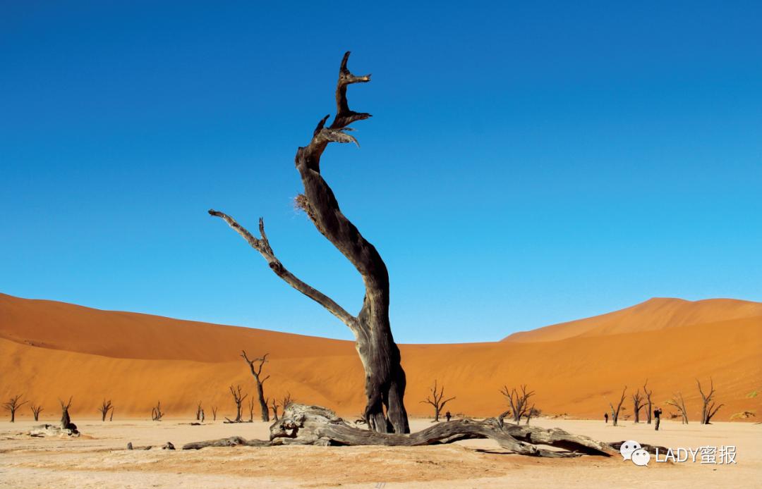 非洲最洁净的首都在哪里？纳米比亚：大自然的“最”爱