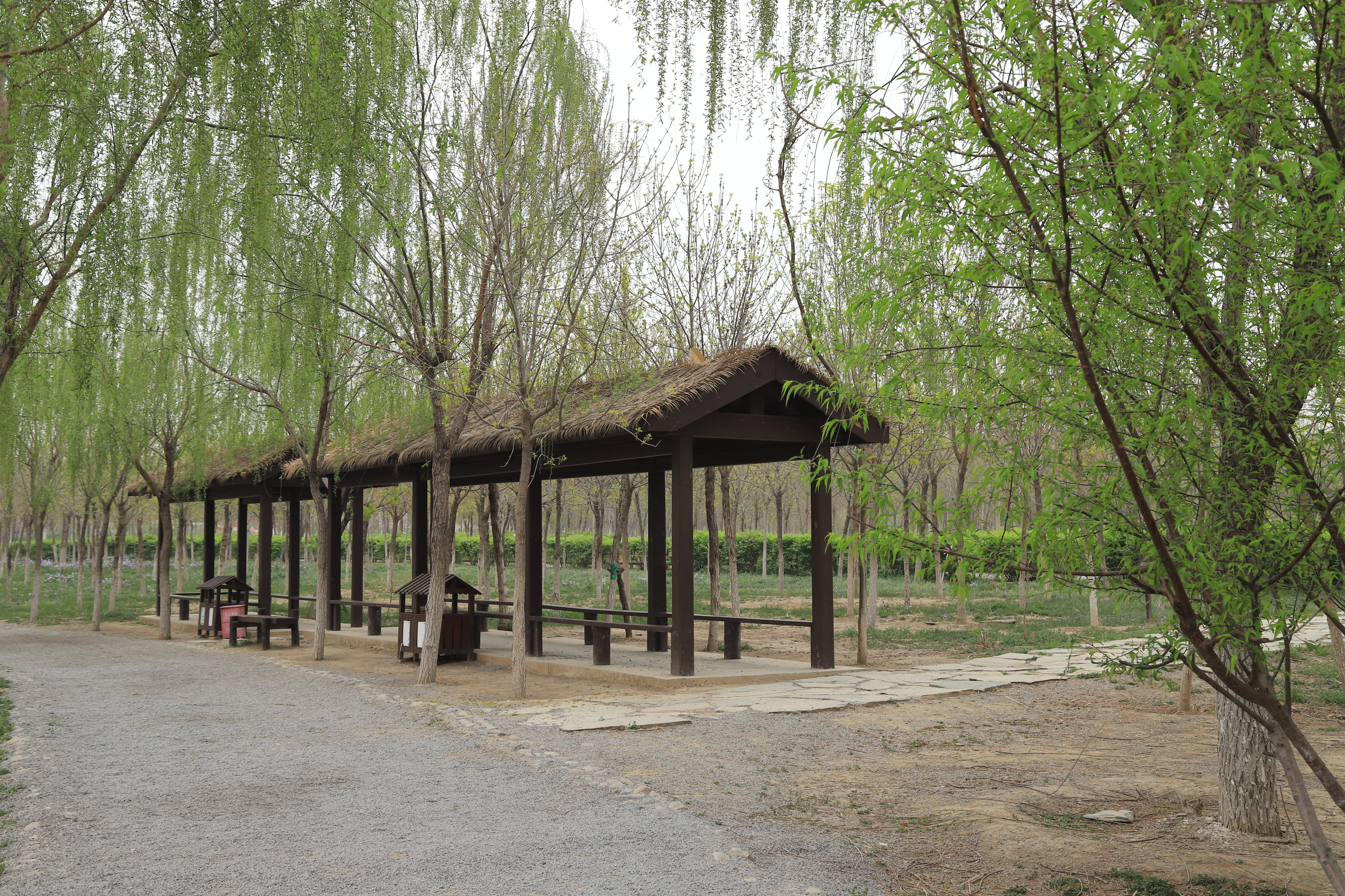 新奇好玩的公园,西青郊野公园开放最新通知