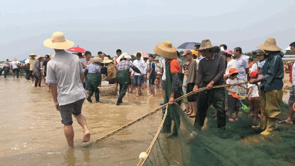 吴阳海鲜直播,吴阳金海岸出海直播
