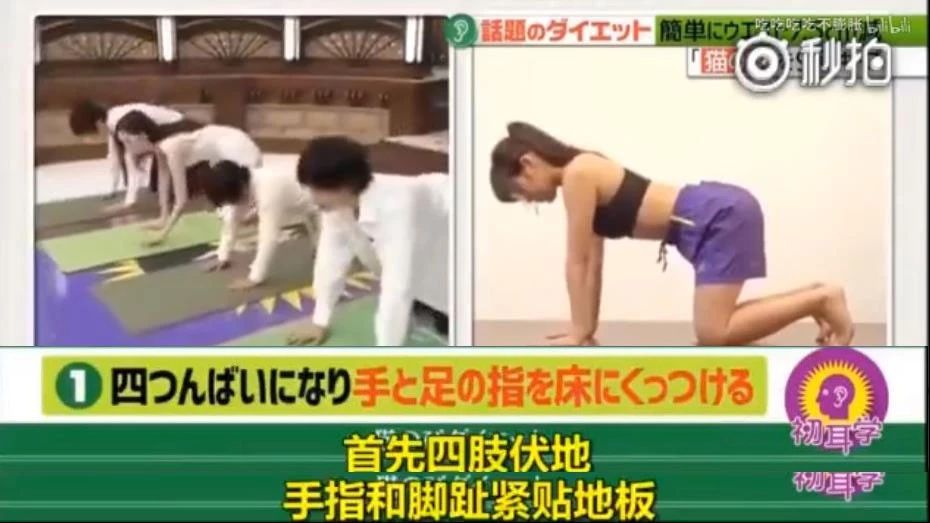 鏃ユ湰鑳栧閫嗚,鏃ユ湰鑳栧