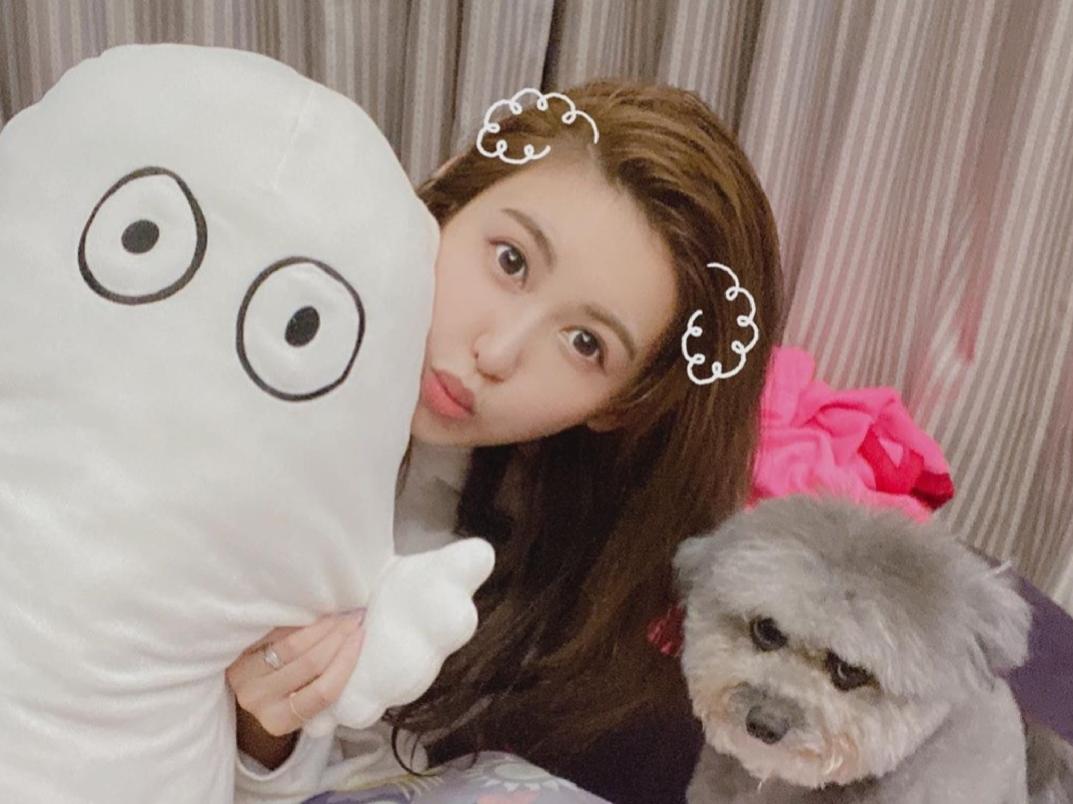 罗志祥腰果花,罗志祥幸福猎手