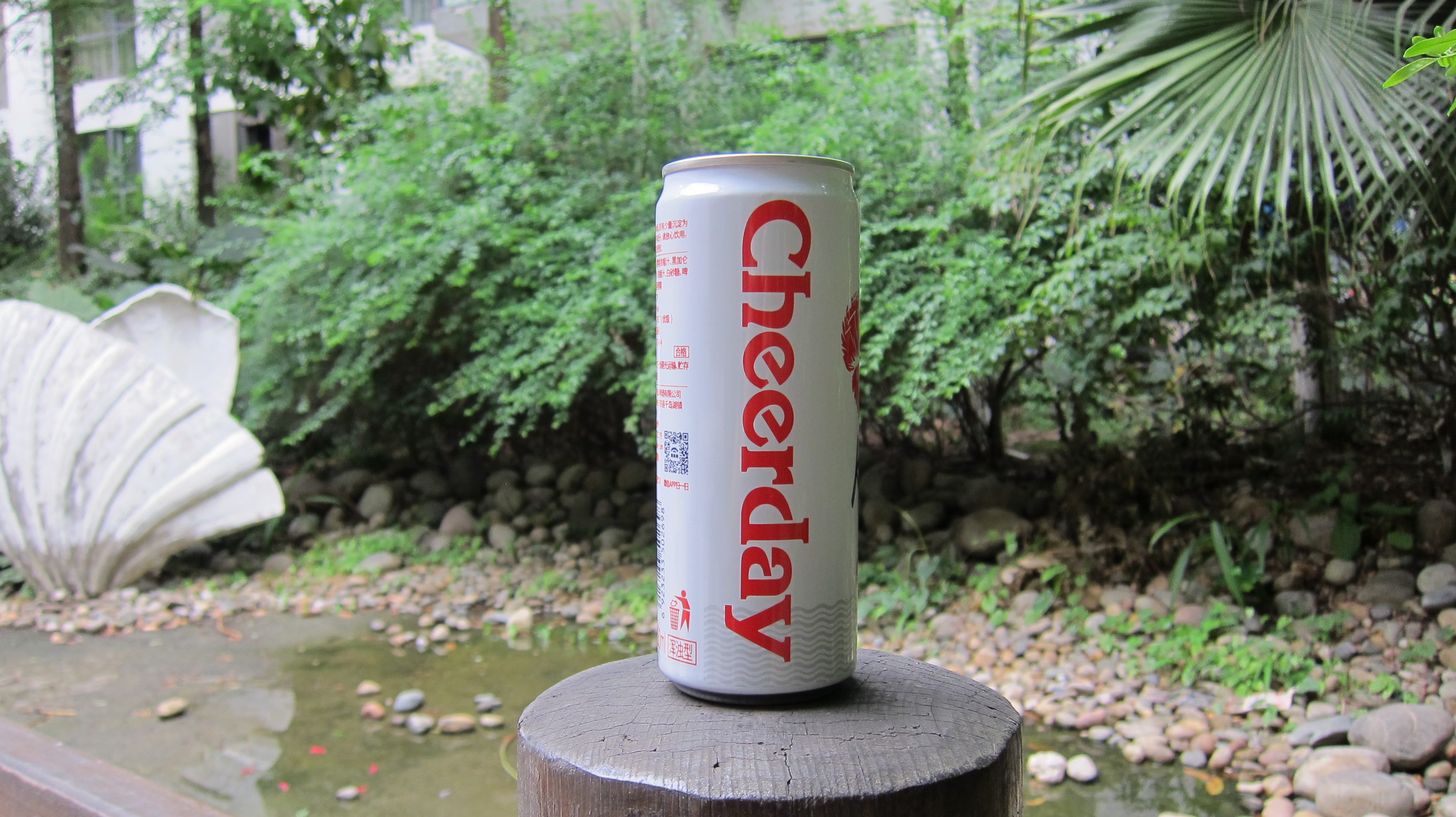 放飞自我美丽可爱心情愉悦,放飞心情去千岛湖