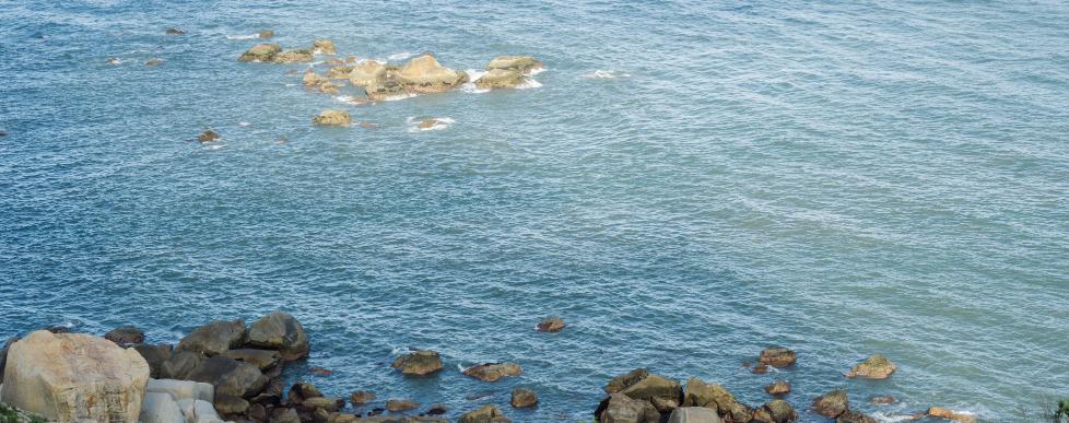 爱错了人最好的解决方法,爱错了人要及时止损懂得放手