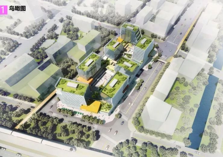 再见了相互嫌弃的老同学,再见了大别山原唱简谱