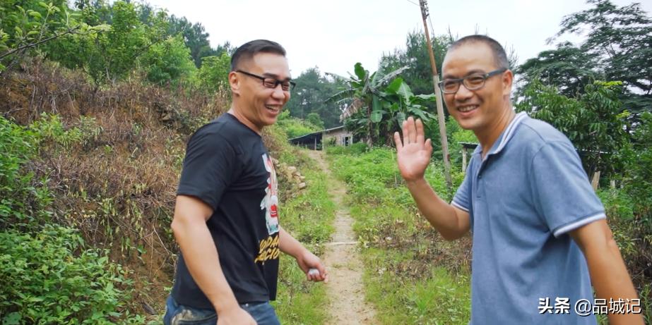 超有鸡味的阳山鸡,广东阳山鸡口感如何